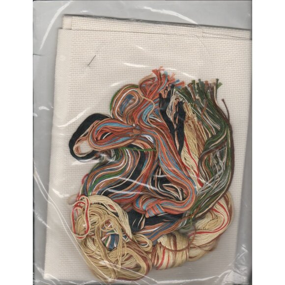 Bernat American Indian Princess Mother and Baby Counted Cross Stitch Kit Sealed - Picture 3 of 4